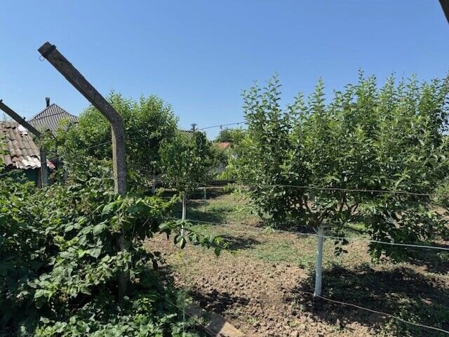 Corabia Olt Casa de vanzare 4 camere
